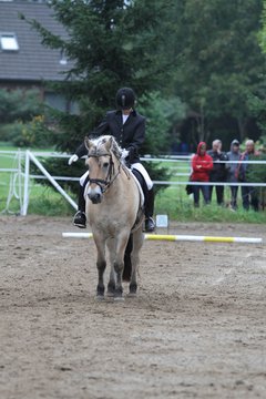 Bild 450 - WBO-Turnier am 18.9.11